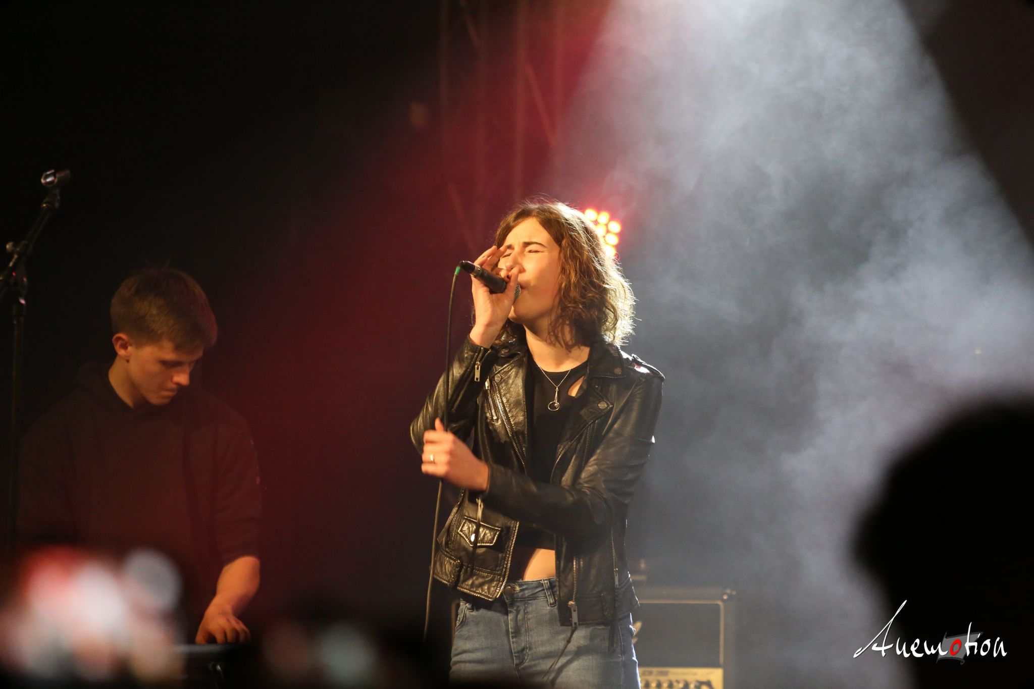 ElephantsFalling (11)